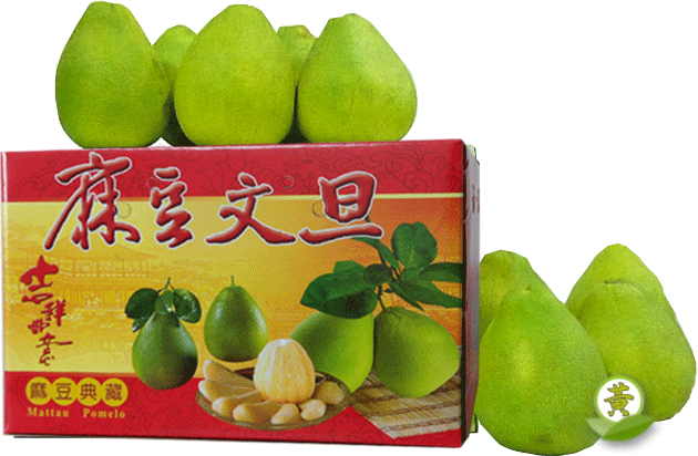 ij¨她§ 10 