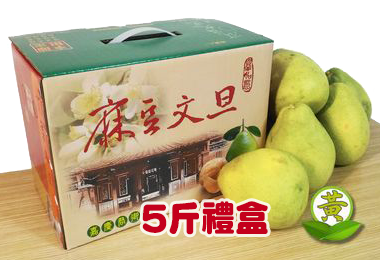 極品麻豆文旦禮盒 5斤裝(小顆)